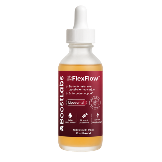 FlexFlow